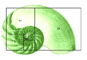 espiral desenhada.