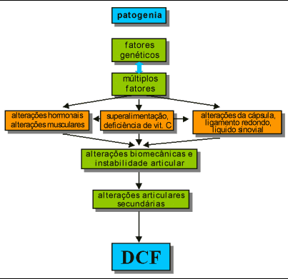 6 Figura 1: Fatores envolvidos na etiologia da DCF. (Fonte: TÔRRES et al, 2008). II. 1. 3. 1. Fatores genéticos A DCF não é, portanto uma enfermidade congênita simples, mas sim um fenômeno poligênico complexo multifatorial.