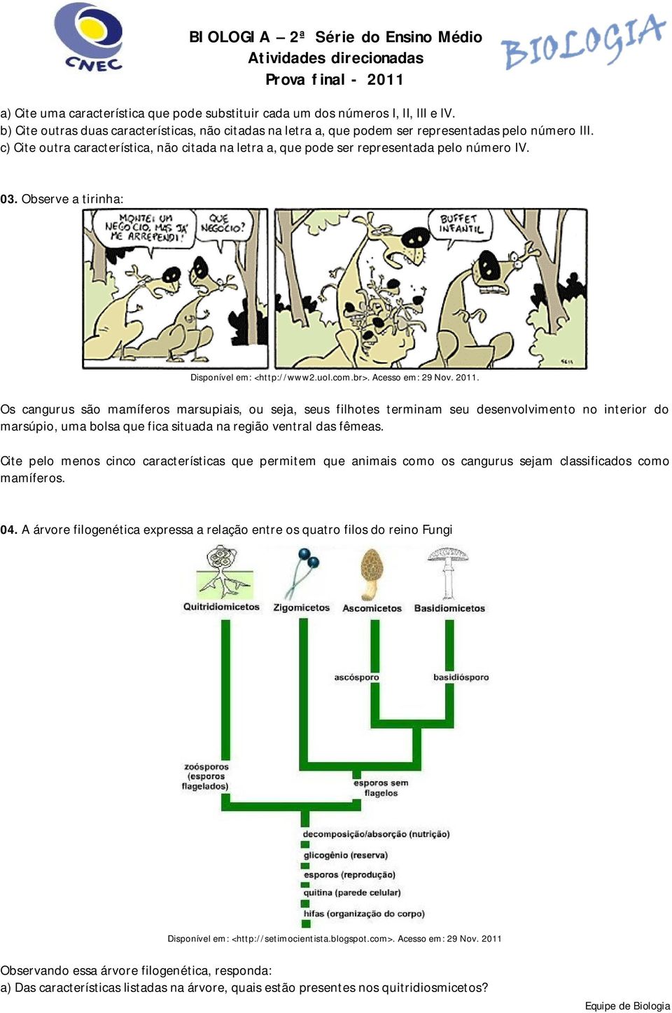 Os cangurus são mamíferos marsupiais, ou seja, seus filhotes terminam seu desenvolvimento no interior do marsúpio, uma bolsa que fica situada na região ventral das fêmeas.