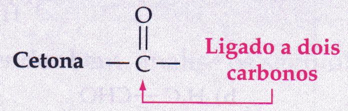 apresentam o grupo carbonila C = O