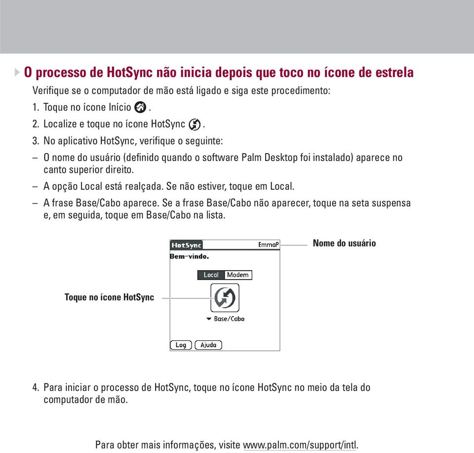 No aplicativo HotSync, verifique o seguinte: O nome do usuário (definido quando o software Palm Desktop foi instalado) aparece no canto superior direito. A opção Local está realçada.