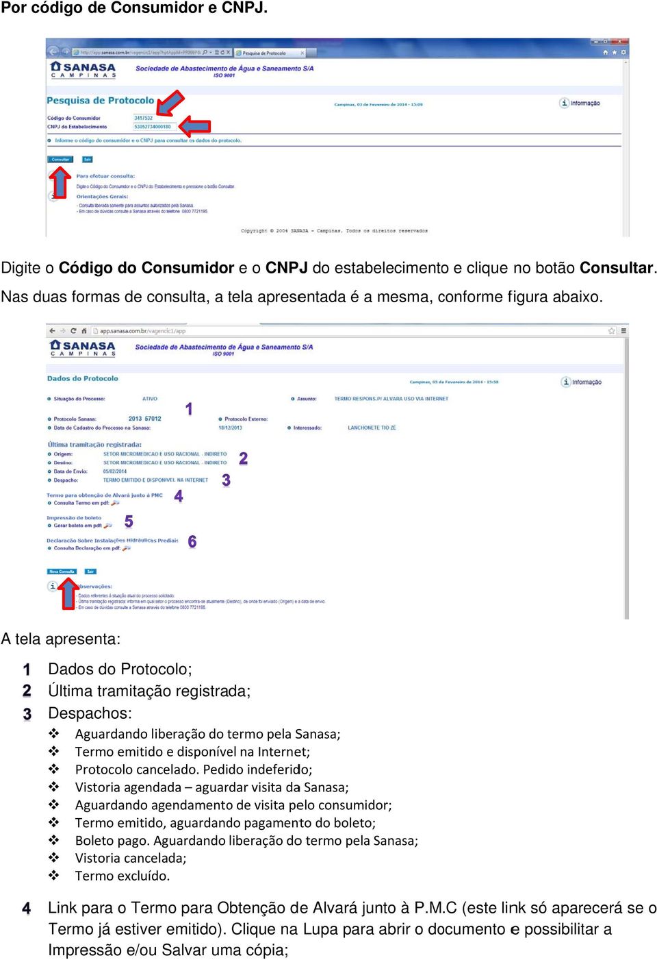 A tela apresenta: Dados do Protocolo; Última tramitação registrada; Despachos: Aguardando liberação do termo t pela Sanasa; Termo emitido e disponível na Internet; Protocolo cancelado.