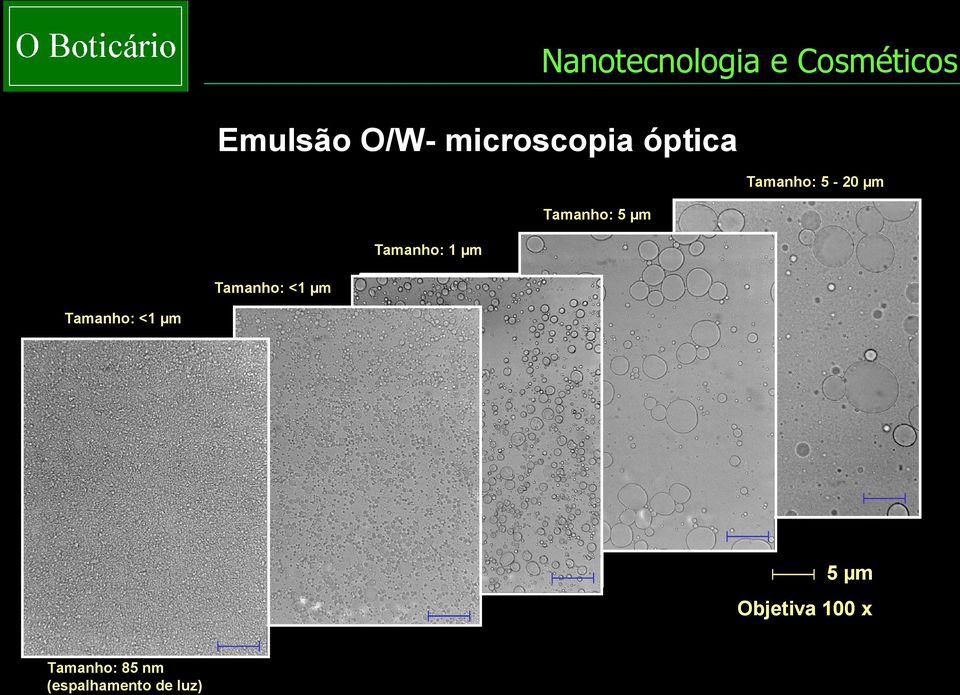 µm Tamanho: 1 µm Tamanho: <1 µm Tamanho: <1 µm