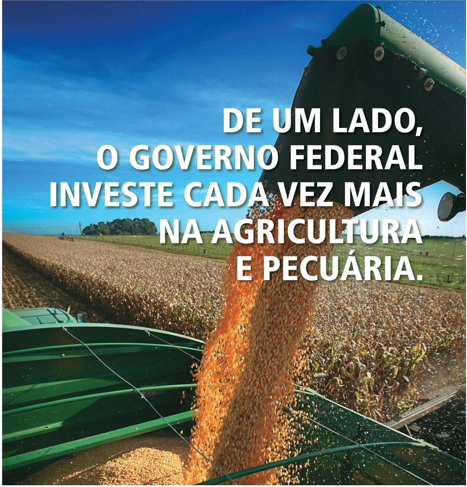 Para mais informações: 0800 704 1995 facebook.com/minagricultura agricultura.gov.