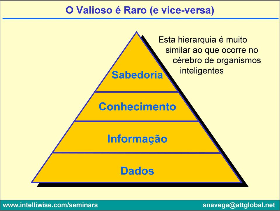 similar ao que ocorre no cérebro de