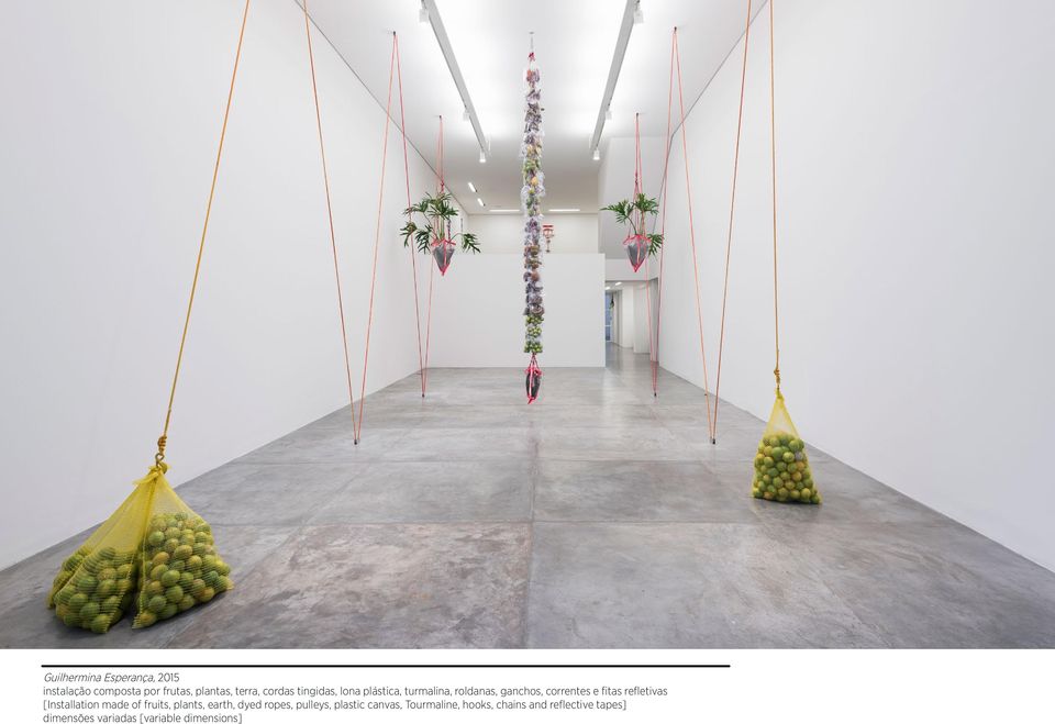 [Installation made of fruits, plants, earth, dyed ropes, pulleys, plastic canvas,