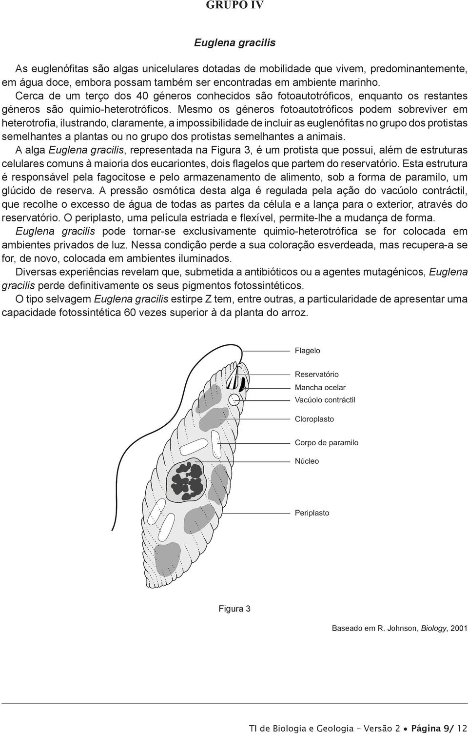 Mesmo os géneros fotoautotróficos podem sobreviver em heterotrofia, ilustrando, claramente, a impossibilidade de incluir as euglenófitas no grupo dos protistas semelhantes a plantas ou no grupo dos