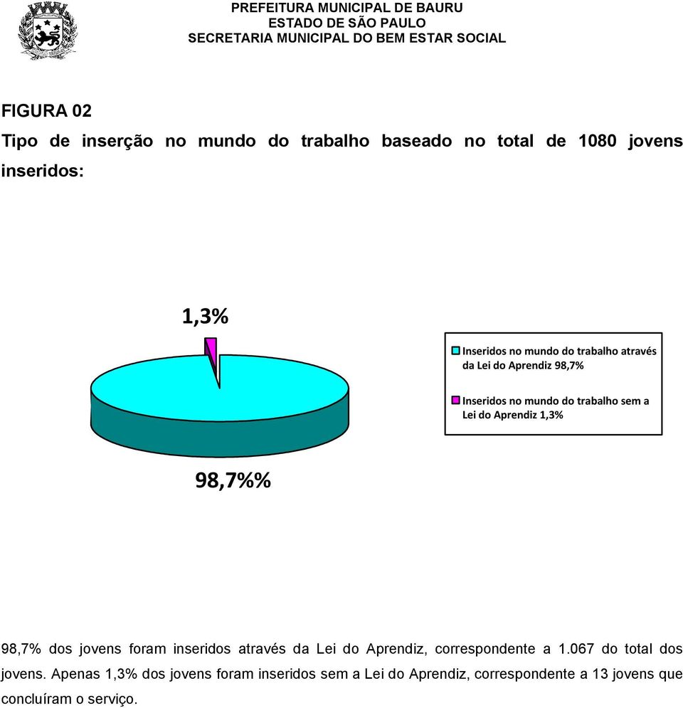 98,7%% 98,7% dos jovens foram inseridos através da Lei do Aprendiz, correspondente a 1.067 do total dos jovens.