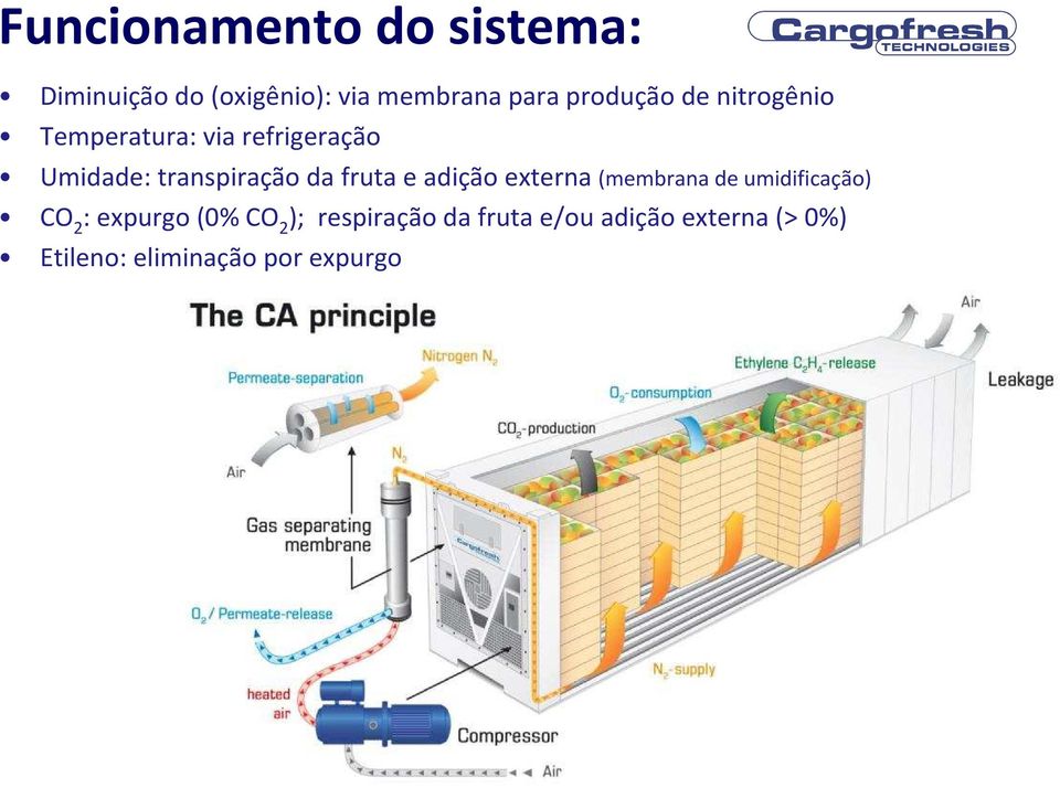 Temperatura: via refrigeração Umidade: transpiração da fruta e adição externa