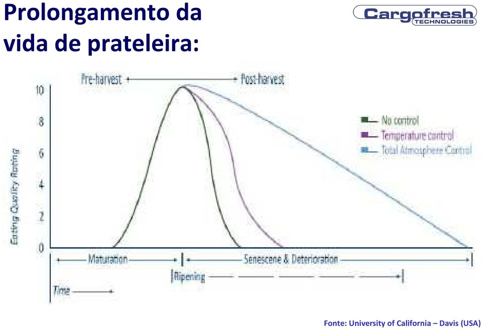 Fonte: University