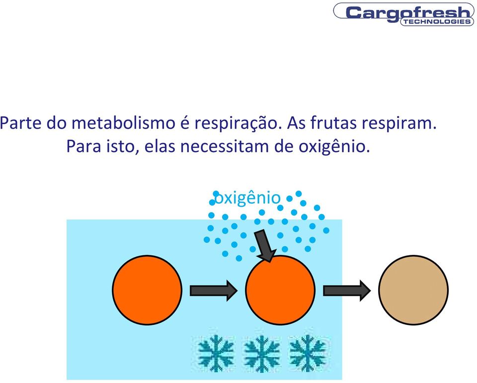 As frutas respiram.