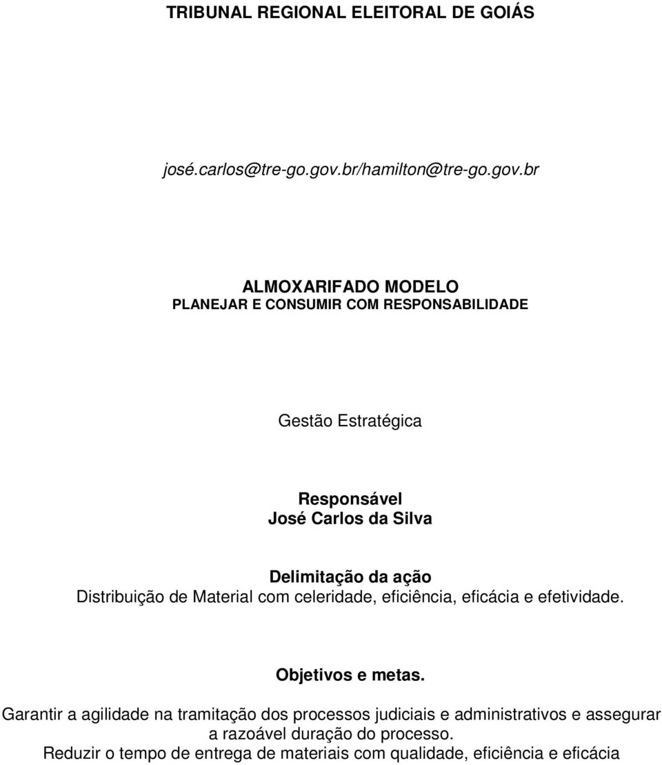 br ALMOXARIFADO MODELO PLANEJAR E CONSUMIR COM RESPONSABILIDADE Gestão Estratégica Responsável José Carlos da Silva Delimitação