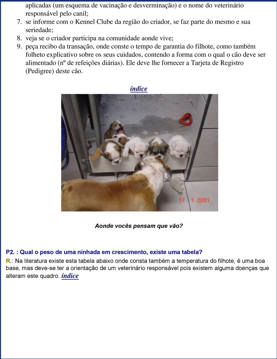 peça recibo da transação, onde conste o tempo de garantia do filhote, como também folheto explicativo sobre os seus cuidados, contendo a forma com o qual o cão deve ser alimentado (nº de refeições