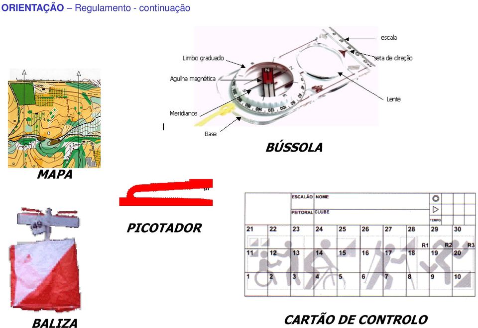 PICOTADOR