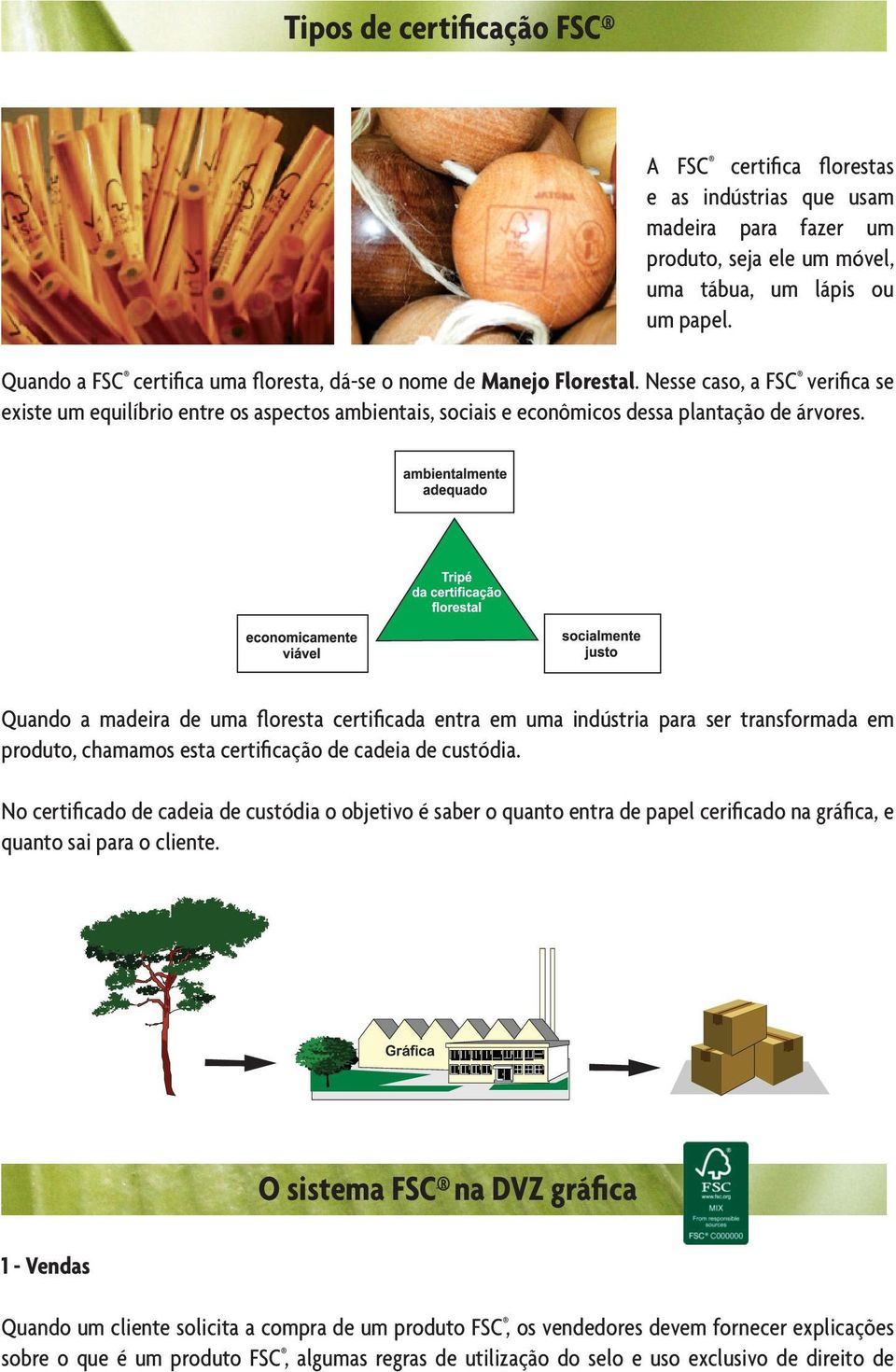 Quando a madeira de uma floresta certificada entra em uma indústria para ser transformada em produto, chamamos esta certificação de cadeia de custódia.