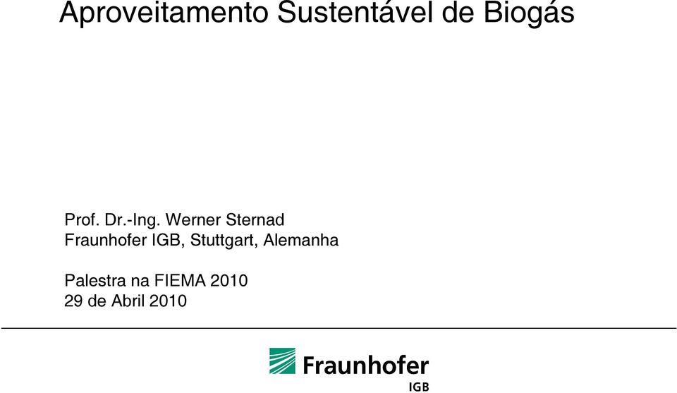 Werner Sternad Fraunhofer IGB,