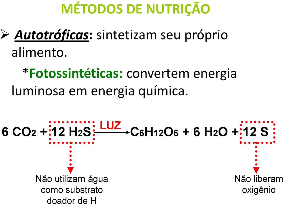 *Fotossintéticas: convertem energia luminosa em energia