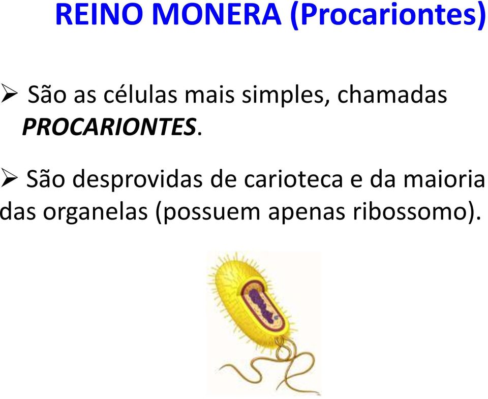PROCARIONTES.