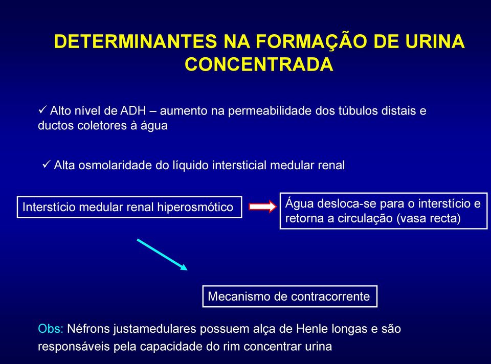 hiperosmótico Água desloca-se para o interstício e retorna a circulação (vasa recta) Mecanismo de