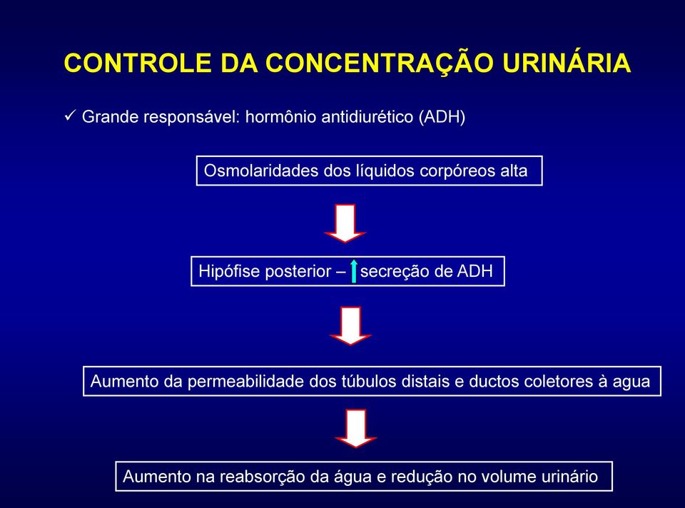 posterior secreção de ADH Aumento da permeabilidade dos túbulos distais