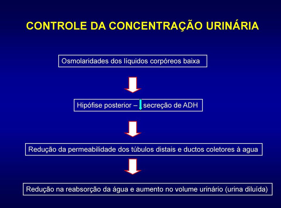 permeabilidade dos túbulos distais e ductos coletores à agua