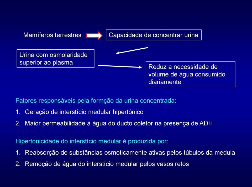 Geração de interstício medular hipertônico 2.