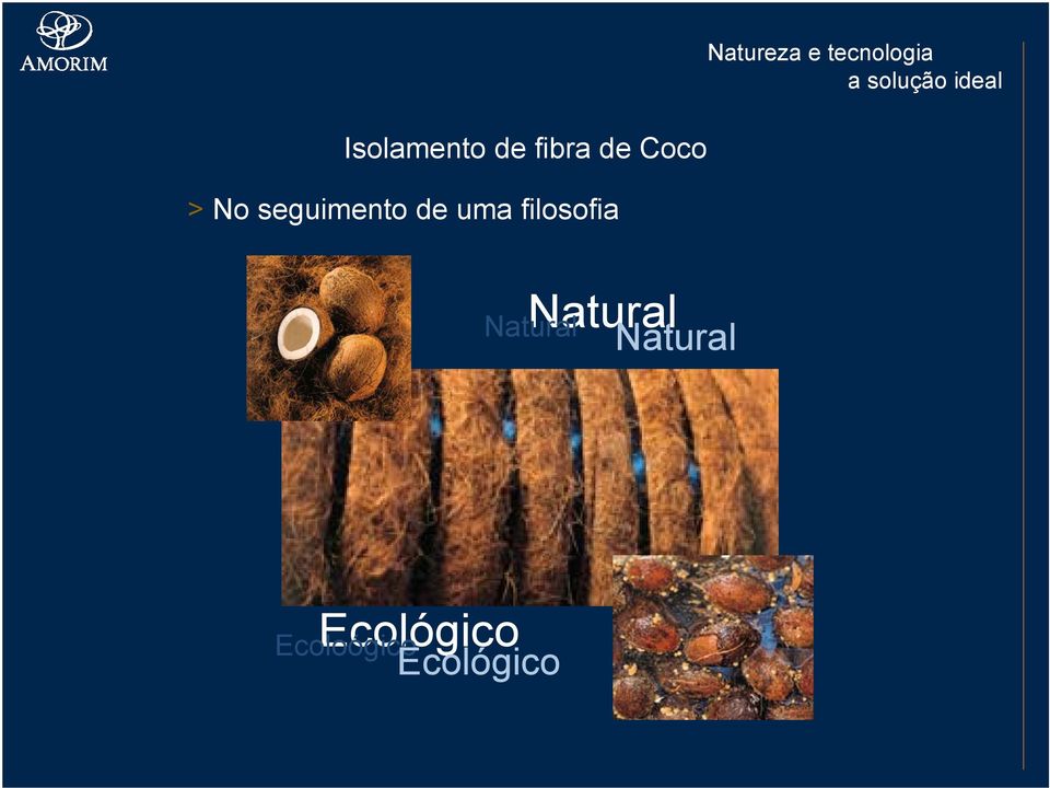 filosofia Natural Natural