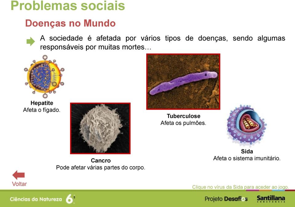 Tuberculose Afeta os pulmões.