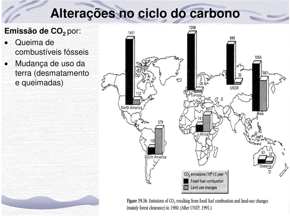 uso da terra (desmatamento e