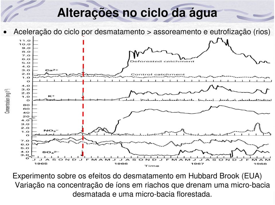 desmatamento em Hubbard Brook (EUA) Variação na concentração de íons