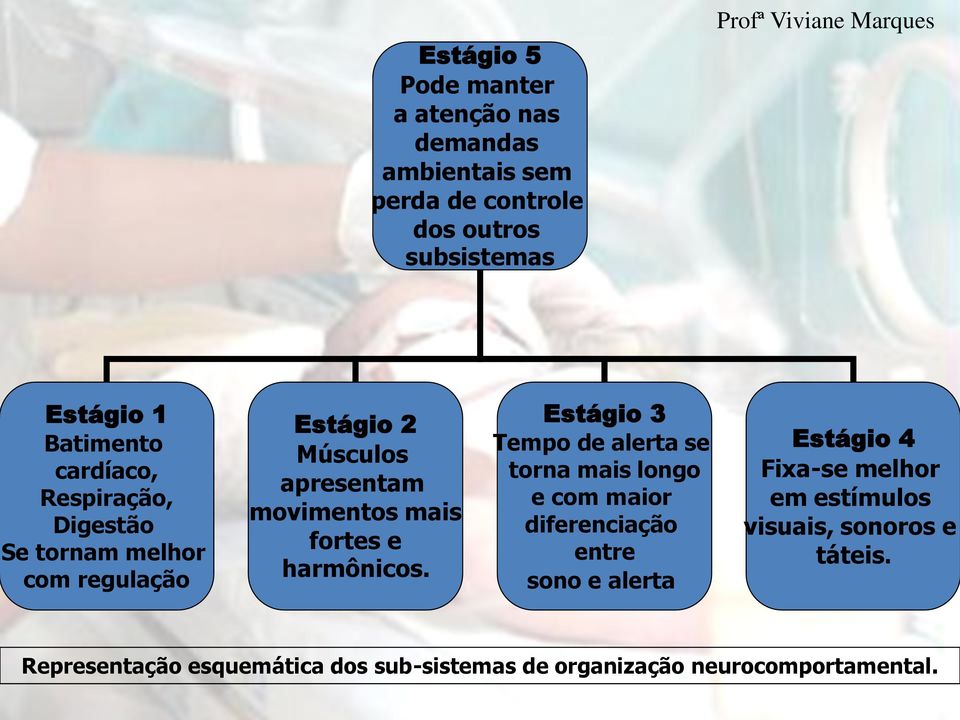 mais fortes e harmônicos.