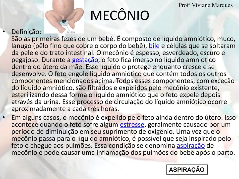 Durante a gestação, o feto fica imerso no líquido amniótico dentro do útero da mãe. Esse líquido o protege enquanto cresce e se desenvolve.