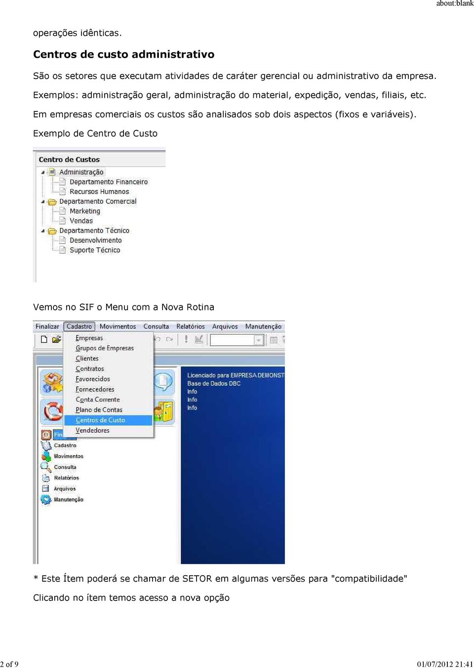 Exemplos: administração geral, administração do material, expedição, vendas, filiais, etc.