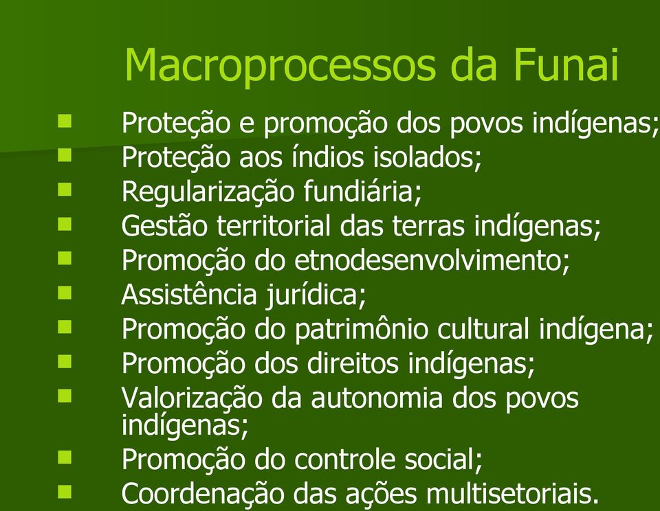 Assistência jurídica; Promoção do patrimônio cultural indígena; Promoção dos direitos indígenas;