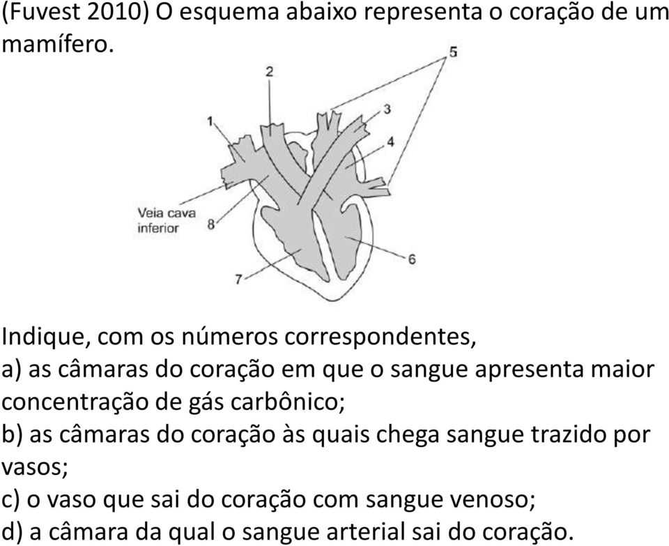 apresenta maior concentração de gás carbônico; b) as câmaras do coração às quais chega