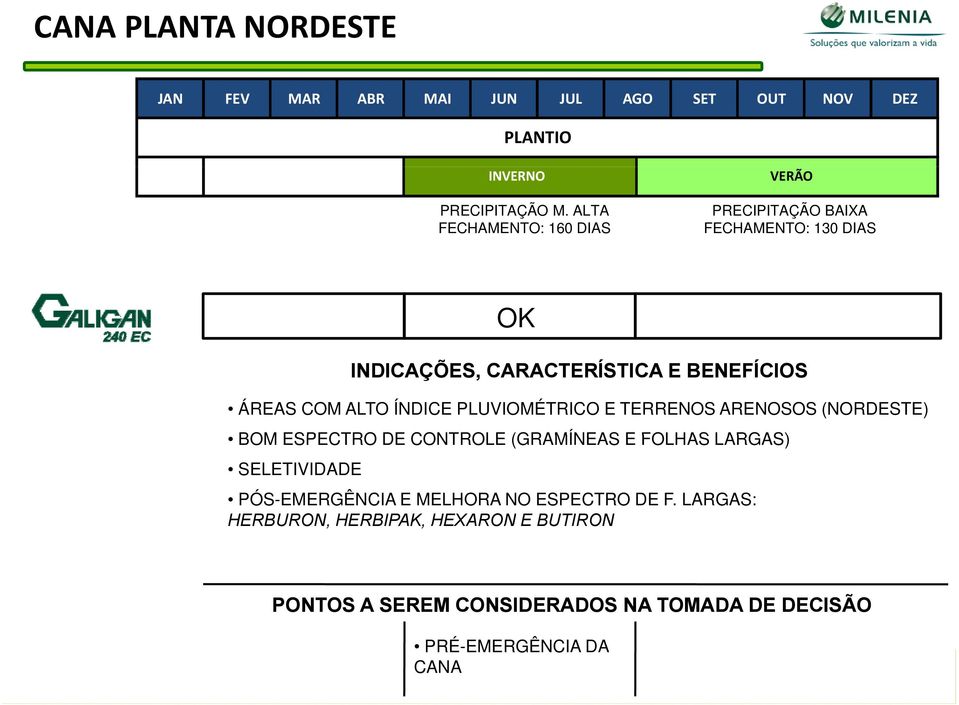 ALTO ÍNDICE PLUVIOMÉTRICO E TERRENOS ARENOSOS (NORDESTE) BOM ESPECTRO DE CONTROLE (GRAMÍNEAS E FOLHAS LARGAS)