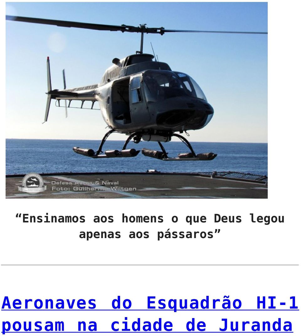 pássaros Aeronaves do