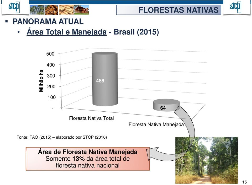 Nativa Manejada Fonte: FAO (2015) elaborado por STCP (2016) Área de