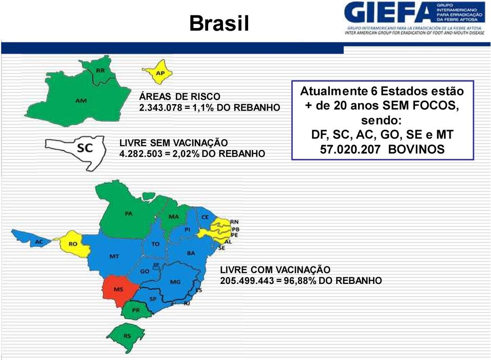 503 = 2,02% DO REBANHO Atualmente 6 Estados estão + de 20 anos