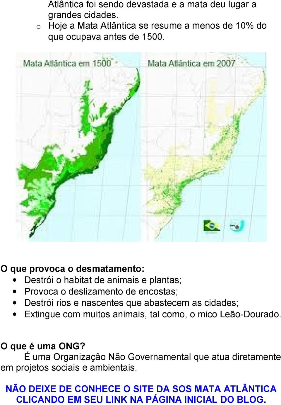 O que provoca o desmatamento: Destrói o habitat de animais e plantas; Provoca o deslizamento de encostas; Destrói rios e nascentes que