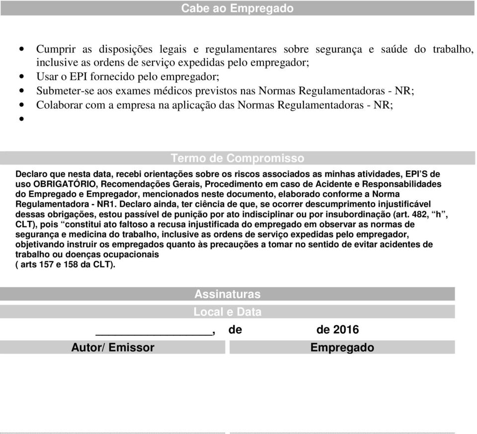 orientações sobre os riscos associados as minhas atividades, EPI S de uso OBRIGATÓRIO, Recomendações Gerais, Procedimento em caso de Acidente e Responsabilidades do Empregado e Empregador,