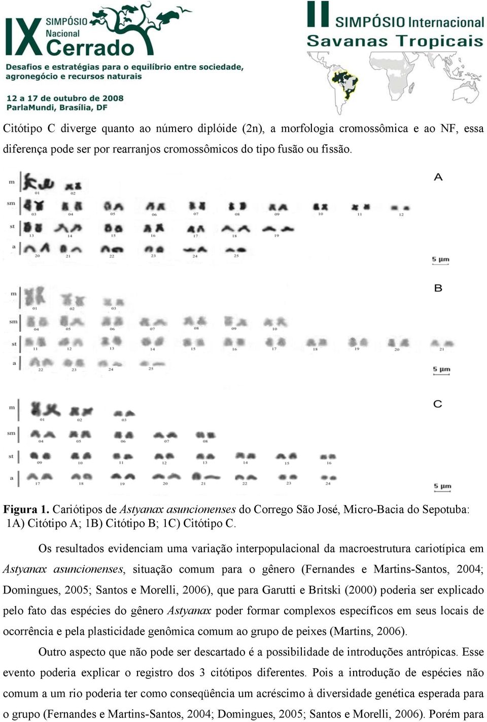 Os resultados evidenciam uma variação interpopulacional da macroestrutura cariotípica em Astyanax asuncionenses, situação comum para o gênero (Fernandes e Martins-Santos, 2004; Domingues, 2005;