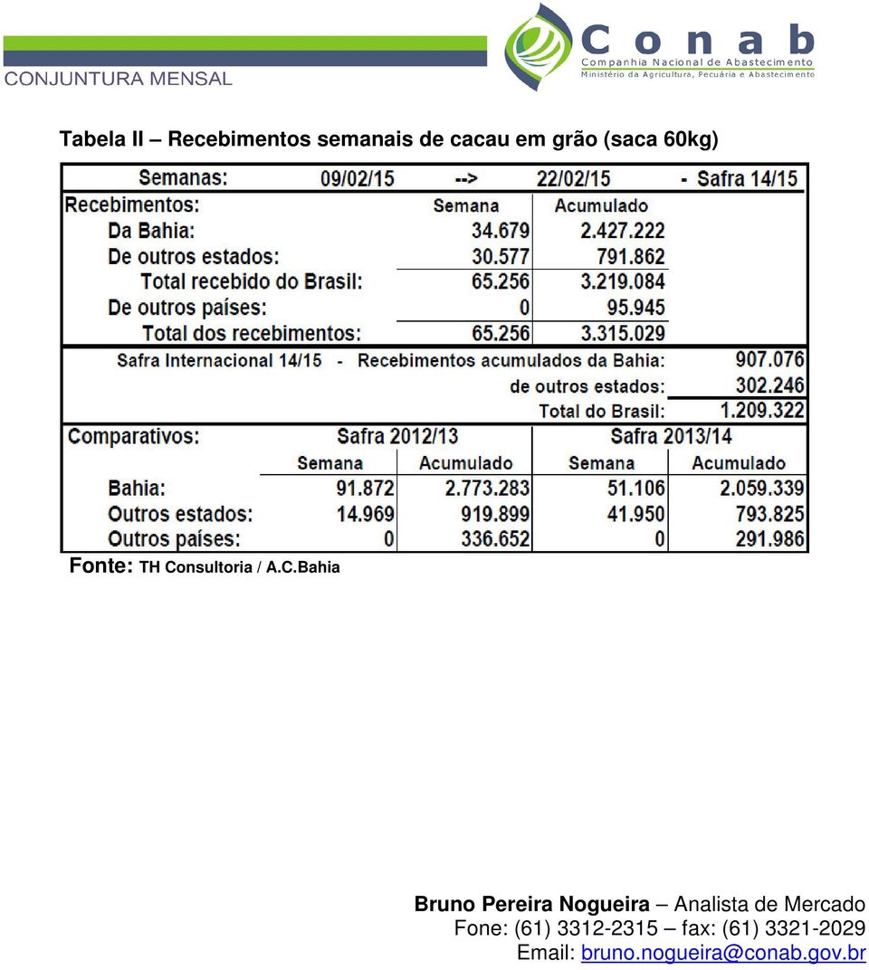 nsultoria / A.C.