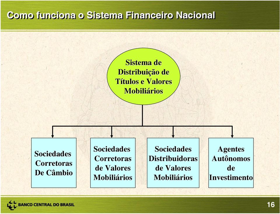 Corretoras de Valores Mobiliários Sociedades