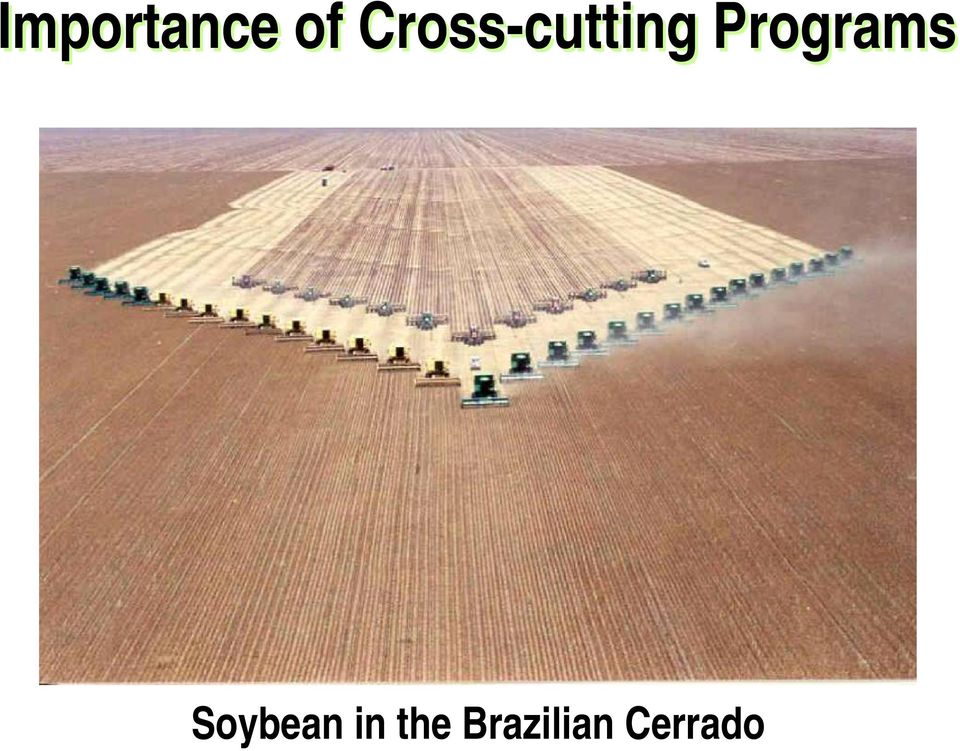 Programs Soybean