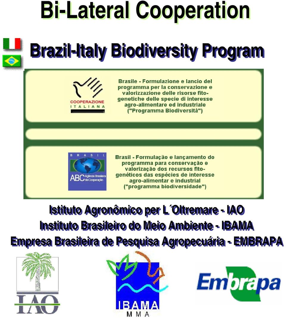 Instituto Brasileiro do Meio Ambiente - IBAMA