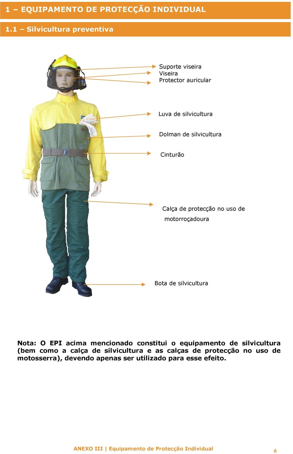 silvicultura Cinturão Calça de protecção no uso de motorroçaura Bota de silvicultura Nota: O EPI