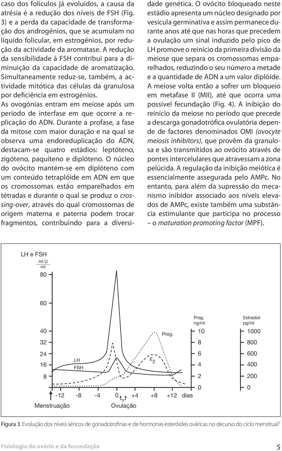 A redução da sensibilidade à FSH contribui para a diminuição da capacidade de aromatização.