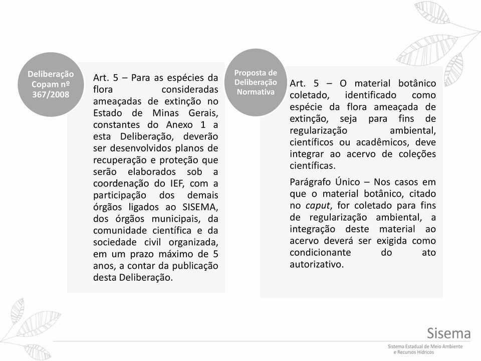 sob a coordenação do IEF, com a participação dos demais órgãos ligados ao SISEMA, dos órgãos municipais, da comunidade científica e da sociedade civil organizada, em um prazo máximo de 5 anos, a