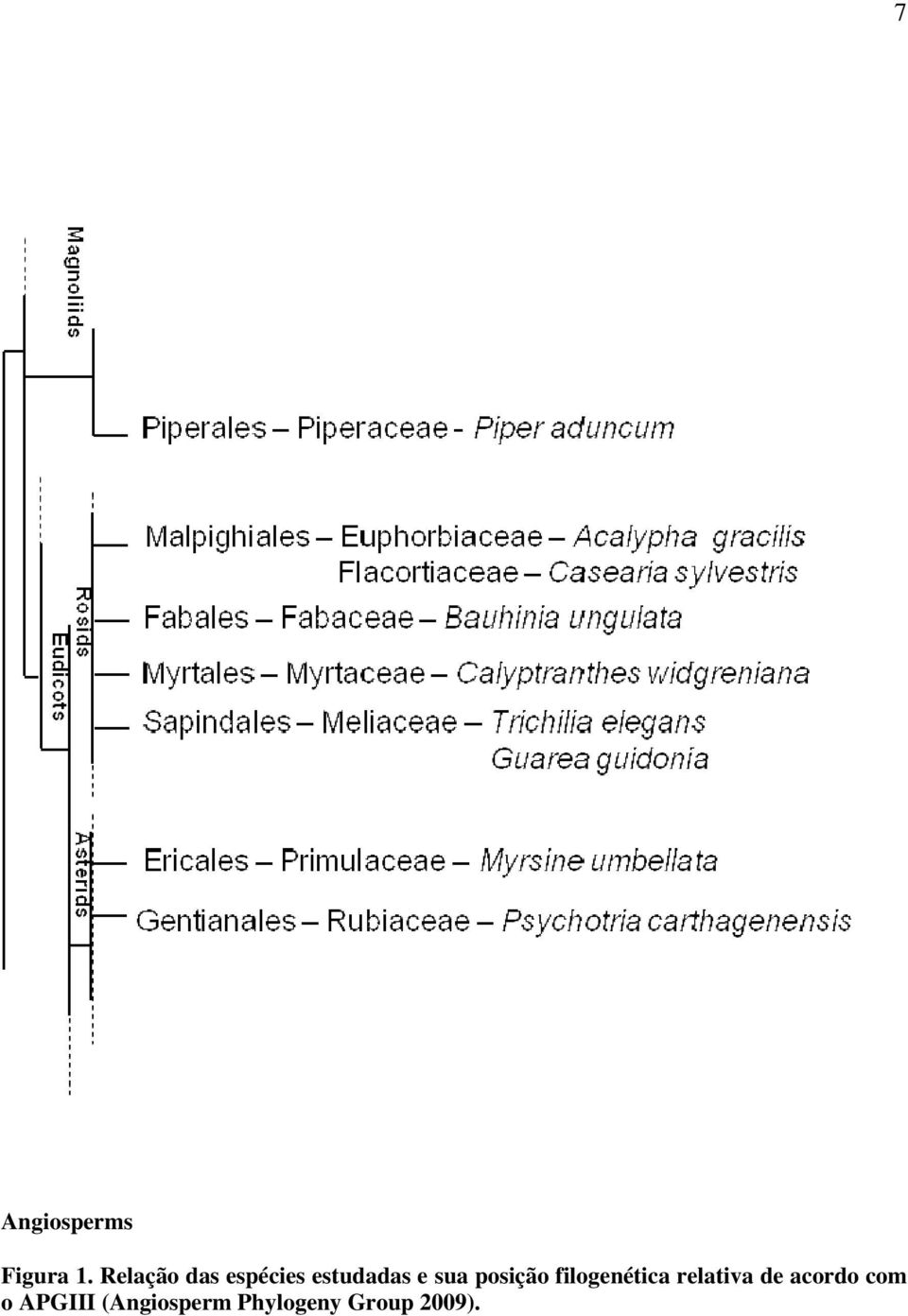 posição filogenética relativa de